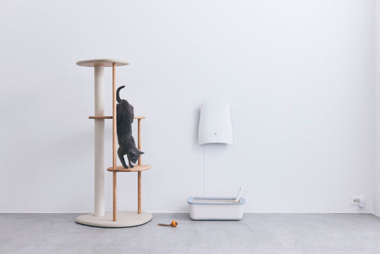 Why Traditional Air Fresheners Fail as a Pet Odor Eliminator