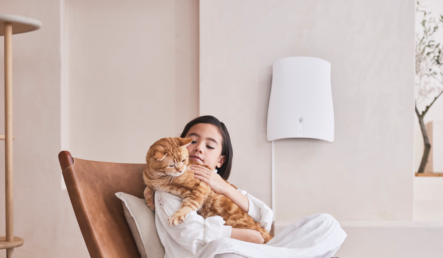 Air Purifier For Litter Box Smell