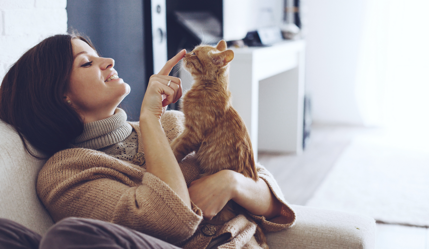 Sunstar QAIS-air- removes pet odor effectively