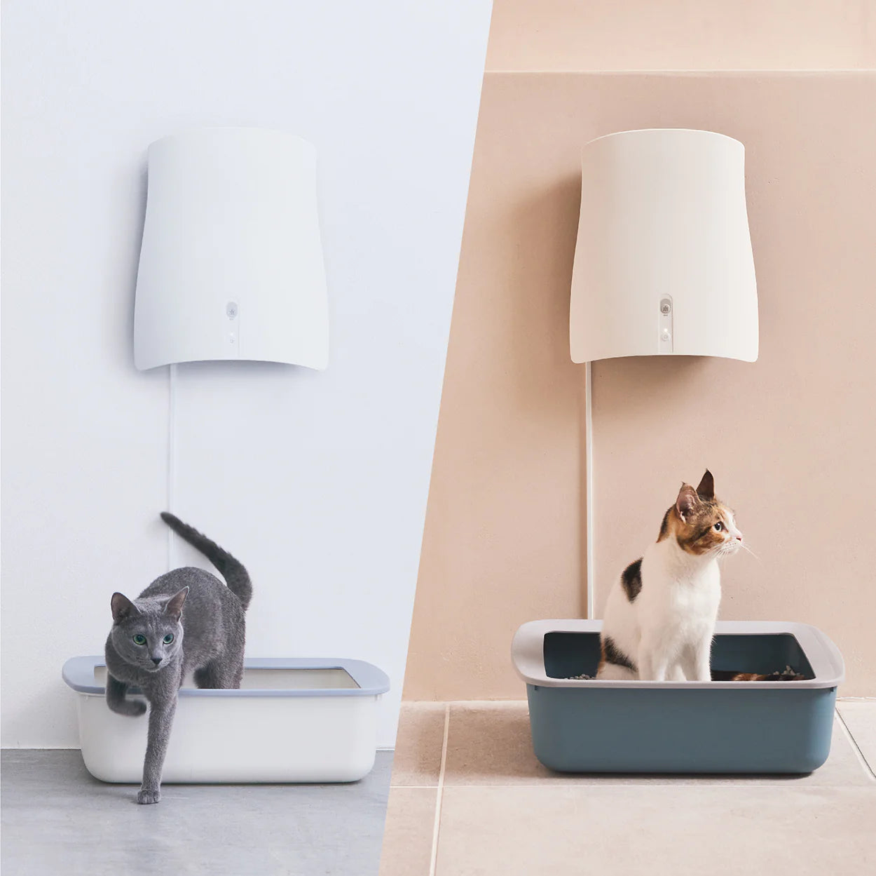 Cat litter cheap air purifier