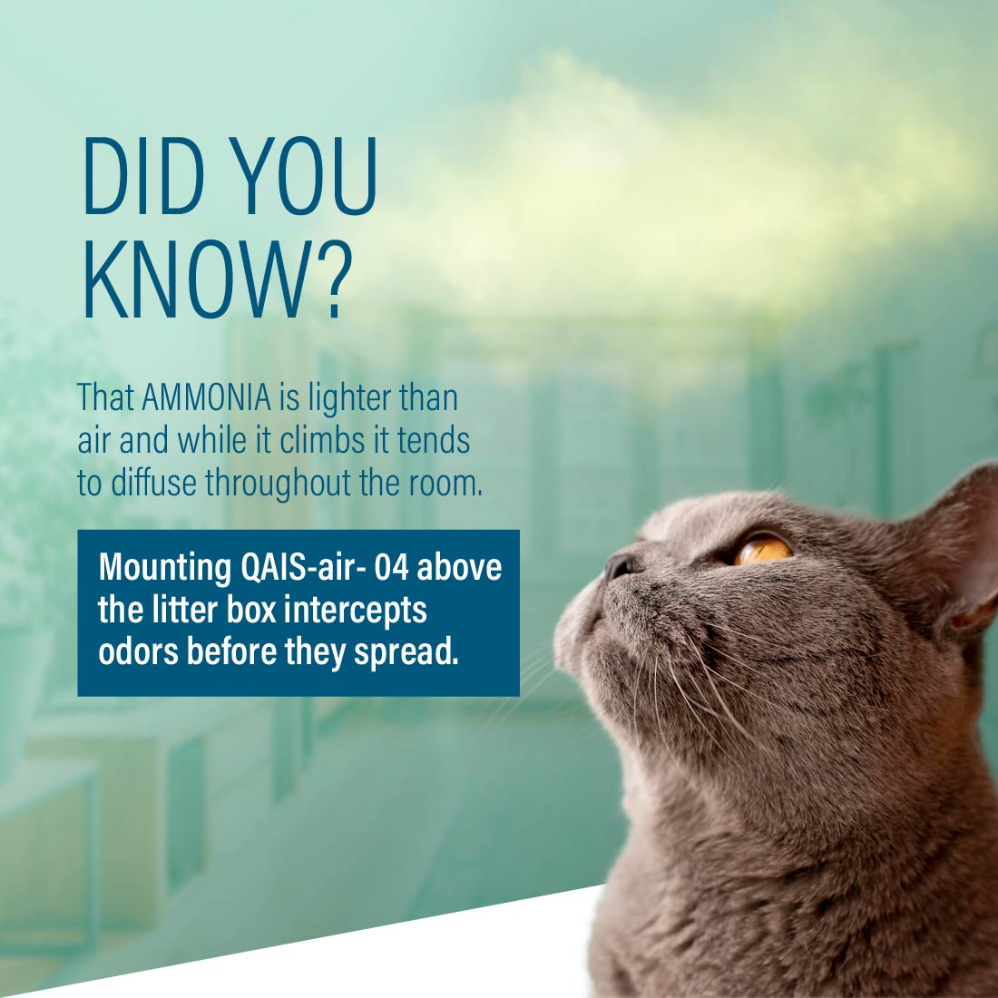 Air Purifiers for Indoor Pets