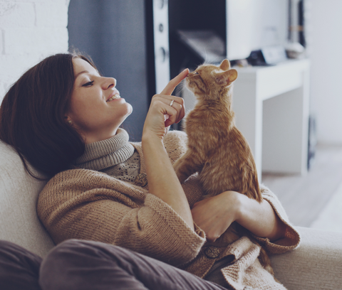 Best Air Purifier for Pet Odors SUNSTAR QAIS